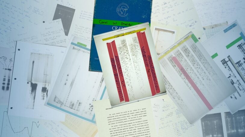 Inside a Nobelist’s notebooks